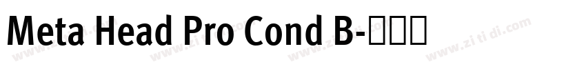 Meta Head Pro Cond B字体转换